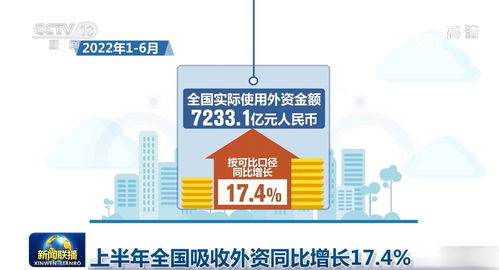 上半年全國吸收外資同比增長17.4%，信息技術咨詢服務成亮點